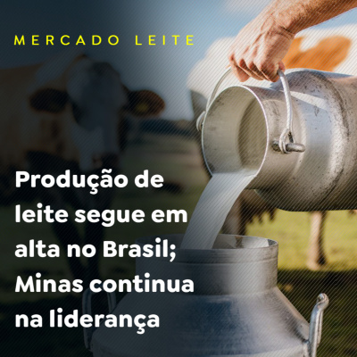 Paracatu Rural - Jornal do agronegócio