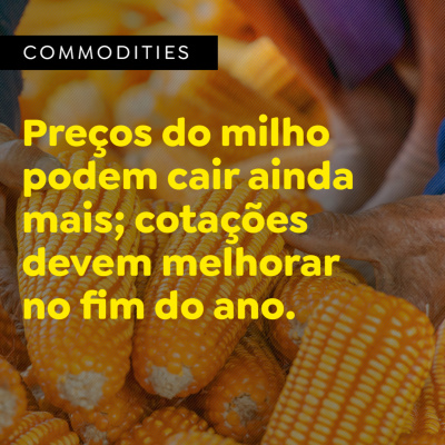 Paracatu Rural - Jornal do agronegócio