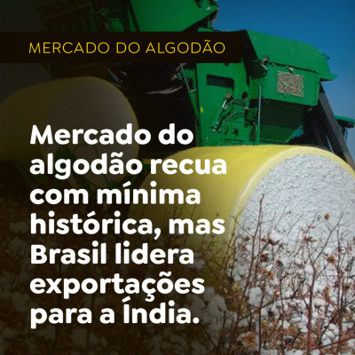 Paracatu Rural - Jornal do agronegócio