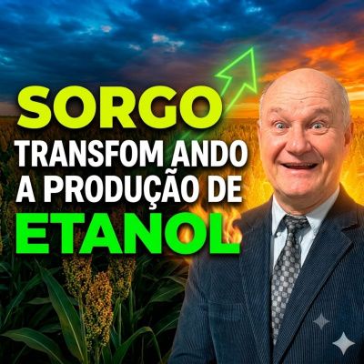Paracatu Rural - Jornal do agronegócio