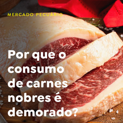 Paracatu Rural - Jornal do agronegócio