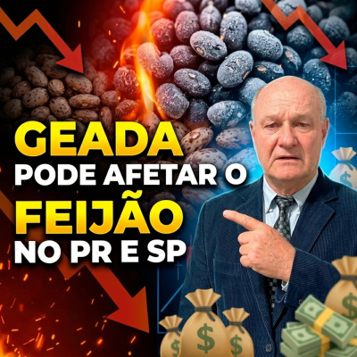 Paracatu Rural - Jornal do agronegócio