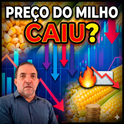 Paracatu Rural - Jornal do agronegócio