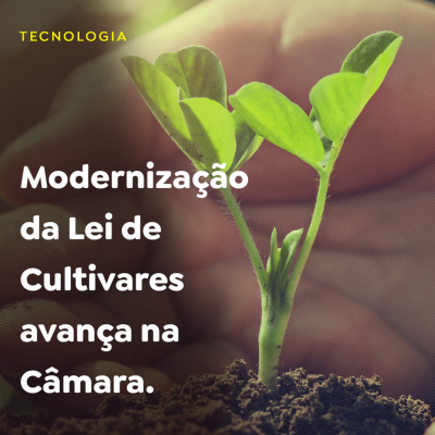 Paracatu Rural - Jornal do agronegócio