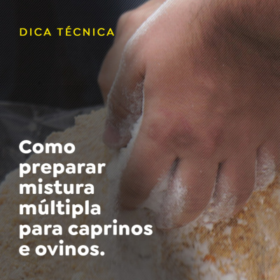 Paracatu Rural - Jornal do agronegócio