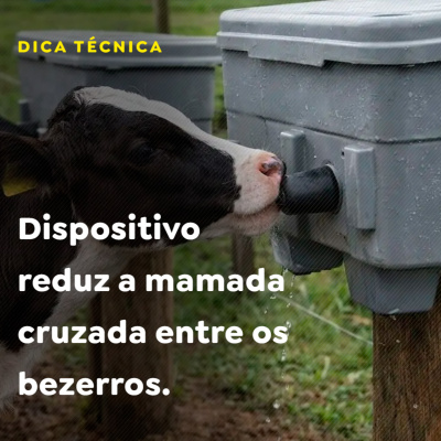 Paracatu Rural - Jornal do agronegócio