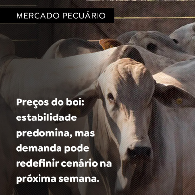 Paracatu Rural - Jornal do agronegócio