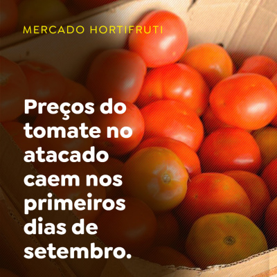 Paracatu Rural - Jornal do agronegócio