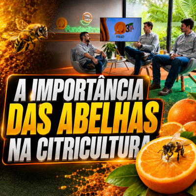 Paracatu Rural - Jornal do agronegócio