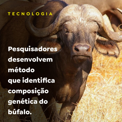 Paracatu Rural - Jornal do agronegócio