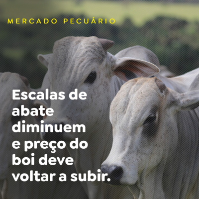 Paracatu Rural - Jornal do agronegócio