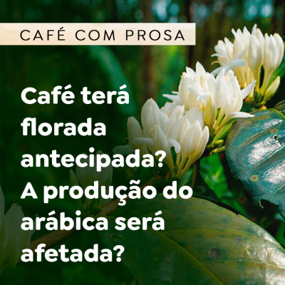 Paracatu Rural - Jornal do agronegócio