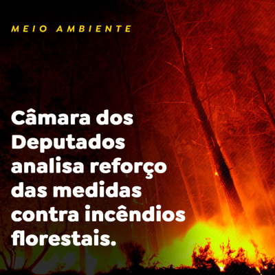 Paracatu Rural - Jornal do agronegócio