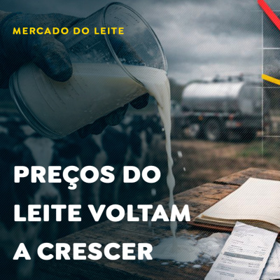 Paracatu Rural - Jornal do agronegócio