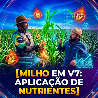 Paracatu Rural - Jornal do agronegócio