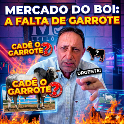 Paracatu Rural - Jornal do agronegócio