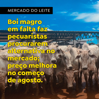 Paracatu Rural - Jornal do agronegócio