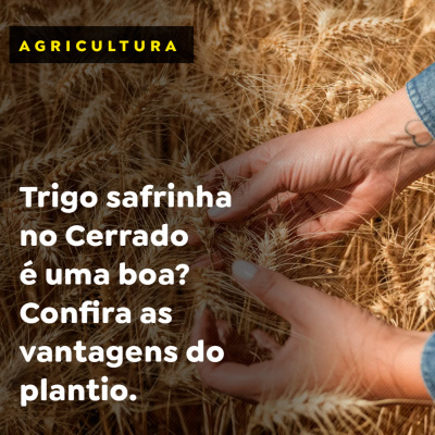 Paracatu Rural - Jornal do agronegócio