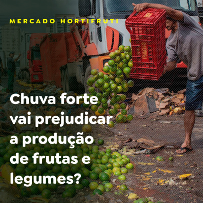 Paracatu Rural - Jornal do agronegócio