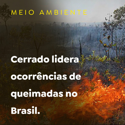 Paracatu Rural - Jornal do agronegócio