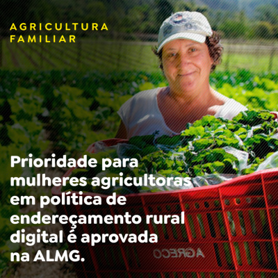Paracatu Rural - Jornal do agronegócio