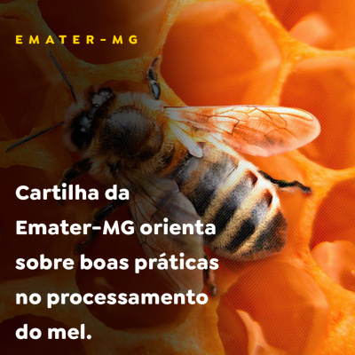 Paracatu Rural - Jornal do agronegócio