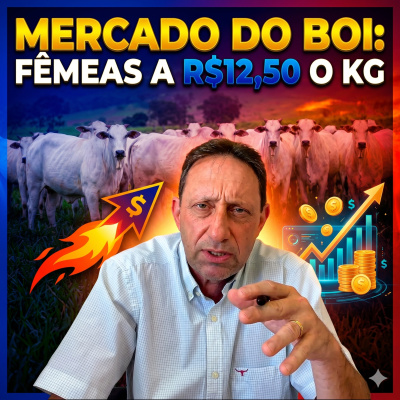 Paracatu Rural - Jornal do agronegócio