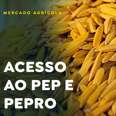 Paracatu Rural - Jornal do agronegócio