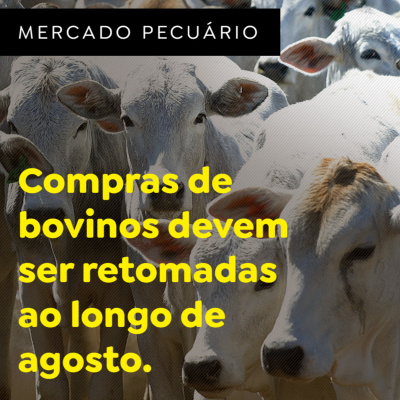 Paracatu Rural - Jornal do agronegócio