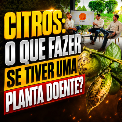 Paracatu Rural - Jornal do agronegócio