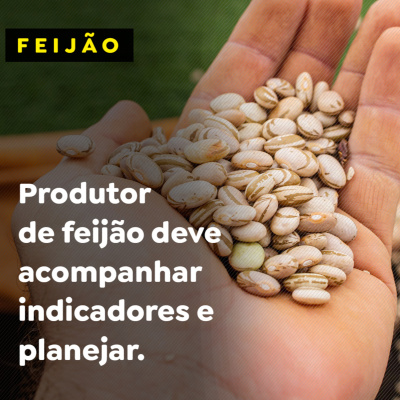 Paracatu Rural - Jornal do agronegócio