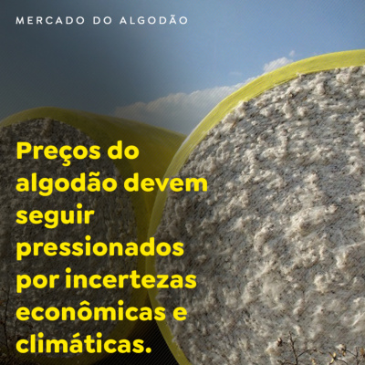 Paracatu Rural - Jornal do agronegócio
