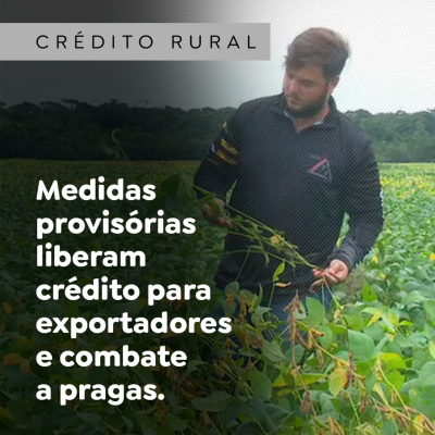 Paracatu Rural - Jornal do agronegócio