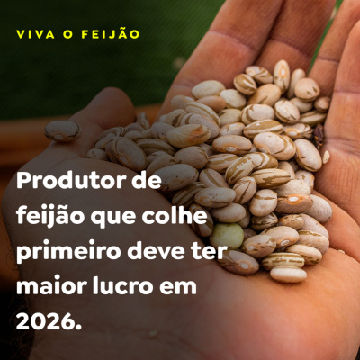Paracatu Rural - Jornal do agronegócio