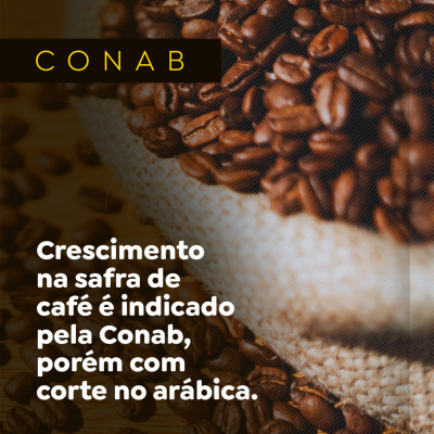 Paracatu Rural - Jornal do agronegócio