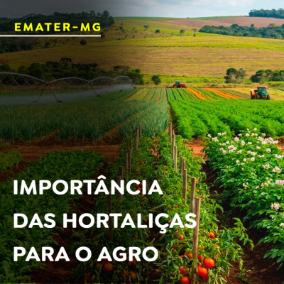 Paracatu Rural - Jornal do agronegócio
