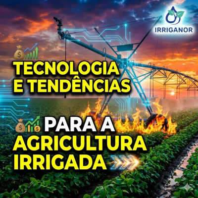 Paracatu Rural - Jornal do agronegócio