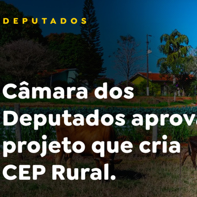Paracatu Rural - Jornal do agronegócio