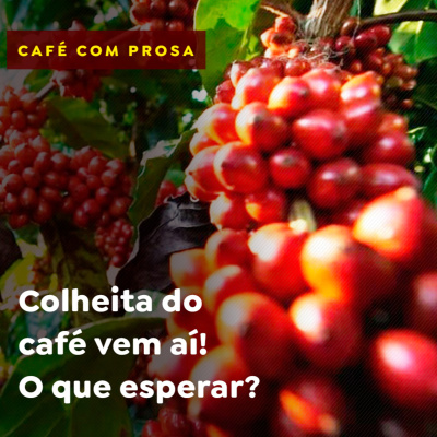 Paracatu Rural - Jornal do agronegócio