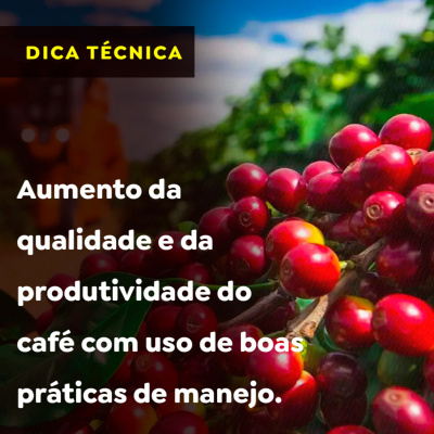 Paracatu Rural - Jornal do agronegócio