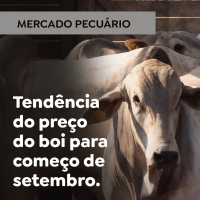 Paracatu Rural - Jornal do agronegócio