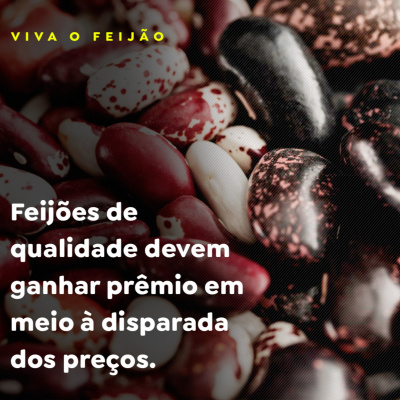 Paracatu Rural - Jornal do agronegócio