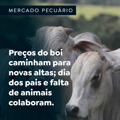 Paracatu Rural - Jornal do agronegócio