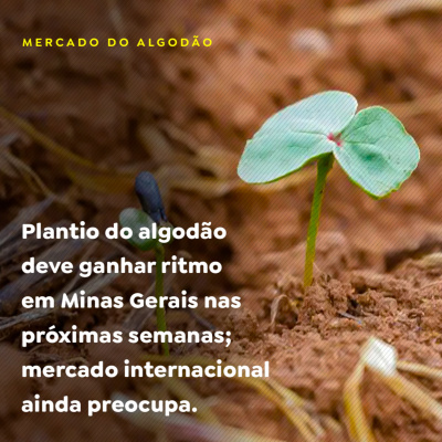 Paracatu Rural - Jornal do agronegócio