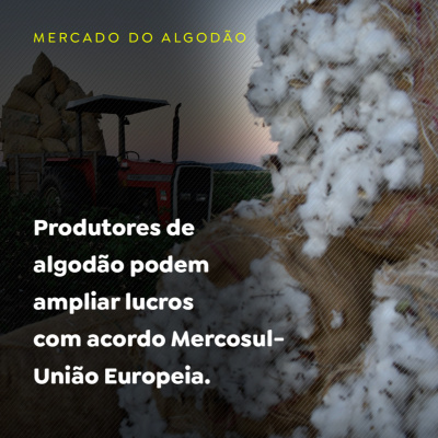 Paracatu Rural - Jornal do agronegócio