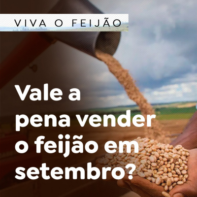Paracatu Rural - Jornal do agronegócio