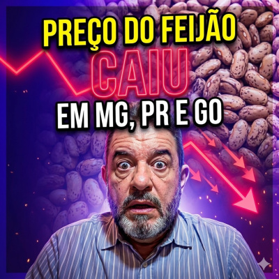 Paracatu Rural - Jornal do agronegócio