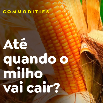 Paracatu Rural - Jornal do agronegócio