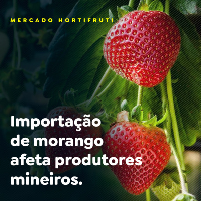 Paracatu Rural - Jornal do agronegócio