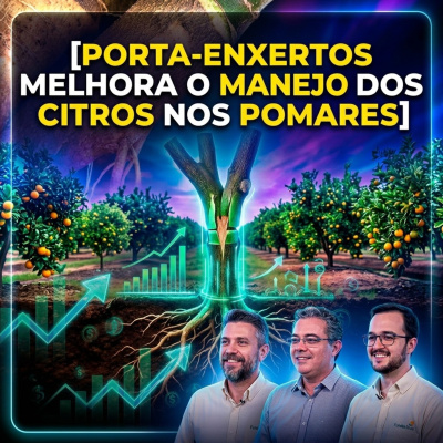 Paracatu Rural - Jornal do agronegócio